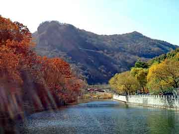 澳门二四六天天彩图库，深圳市集体婚礼